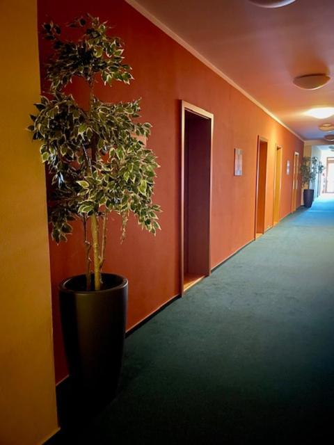 Hotel U Milina Eksteriør billede